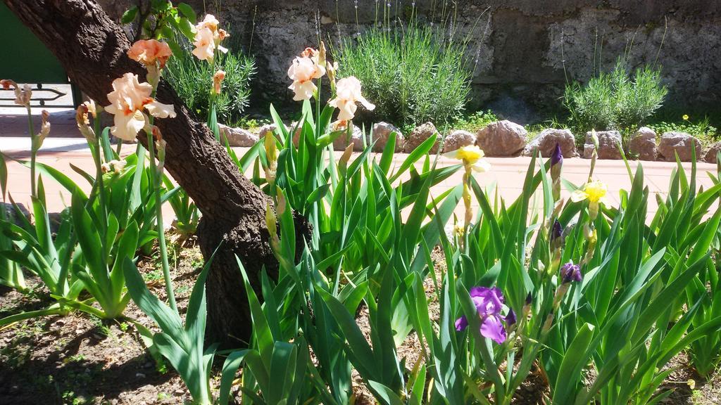 Seafront Apartments Garden House Taormina Room photo